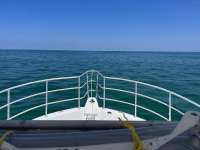 Great day of scuba diving in Key Largo with Rainbow Reef on spiegel grove tropical destiny 2023 05 30 r13965 1