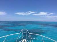 Great day of scuba diving in Key Largo with Rainbow Reef on jjs cave tropical legend 2024 07 10 r16032 1