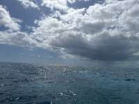 Great day of scuba diving in Key Largo with Rainbow Reef on molasses reef tropical destiny 2024 10 20 r16749 1