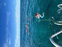 Great day of scuba diving in Key Largo with Rainbow Reef on pickle barrel wreck tropical serenity 2024 10 04 r16651 2