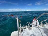 Great day of scuba diving in Key Largo with Rainbow Reef on pickle barrel wreck tropical serenity 2024 10 04 r16651 3