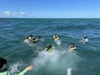 Great day of scuba diving in Key Largo with Rainbow Reef on pickles reef tropical odyssey 2024 10 25 r16779 2