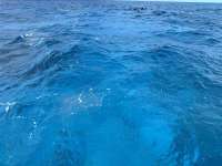 Great day of scuba diving in Key Largo with Rainbow Reef on christmastree cave tropical destiny 2025 04 26 r17918 1