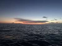 Great day of scuba diving in Key Largo with Rainbow Reef on jjs cave tropical legend 2025 08 02 r18563 1