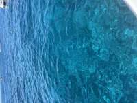 Great day of scuba diving in Key Largo with Rainbow Reef on logans run tropical destiny 2025 08 02 r18556 1