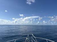 Great day of scuba diving in Key Largo with Rainbow Reef on special event tropical adventure 2025 08 14 r18650 1
