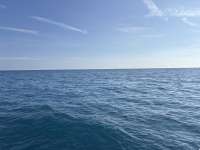 Great day of scuba diving in Key Largo with Rainbow Reef on molasses reef tropical legend 2025 01 01 r17244 1