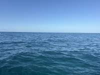 Great day of scuba diving in Key Largo with Rainbow Reef on elbow reef tropical legend 2025 10 01 r18977 1