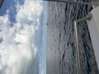 Great day of scuba diving in Key Largo with Rainbow Reef on molasses reef tropical serenity 2026 04 29 r19715 1