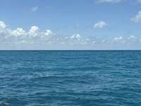 Great day of scuba diving in Key Largo with Rainbow Reef on city of washington tropical odyssey 2026 08 08 r20158 1