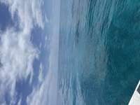 Great day of scuba diving in Key Largo with Rainbow Reef on sand island tropical serenity 2026 08 19 r20237 1
