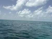 Great day of scuba diving in Key Largo with Rainbow Reef on anchor chain tropical adventure 2026 07 08 r19963 1