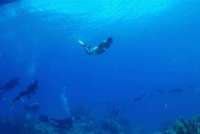 Great day of scuba diving in Key Largo with Rainbow Reef on jjs cave tropical destiny 2026 06 21 r19891 1