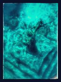Great day of scuba diving in Key Largo with Rainbow Reef on christ statue tropical odyssey 2026 03 22 r19591 1