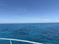 Great day of scuba diving in Key Largo with Rainbow Reef on christ statue tropical legend 2026 05 08 r19755 1