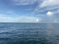 Dive photo at Turtle Ledges in Key Largo, Florida from Tropical Adventure with Captain Tammy on October 17, 2026, Rainbow Reef Dive Center