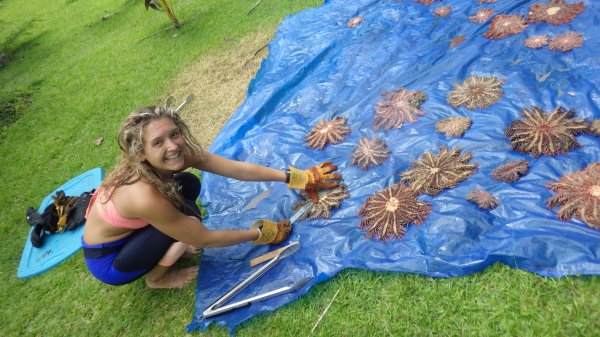 Bridget H, PADI IDC Staff Instructor - Conservation Team, Instructor | Rainbow Reef Dive Center, Key Largo, Florida Keys image
