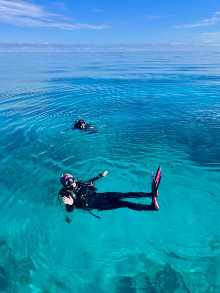 Kailey Ko, PADI Advanced Open Water Diver - Support Staff, Intern | Rainbow Reef Dive Center, Key Largo, Florida Keys image