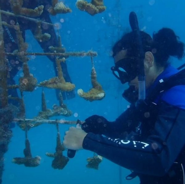 Leo An, PADI Open Water Scuba Instructor - Instructors, Instructor | Rainbow Reef Dive Center, Key Largo, Florida Keys image