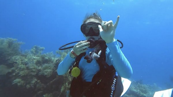 Maddie D, PADI Open Water Diver - Support Staff, Intern | Rainbow Reef Dive Center, Key Largo, Florida Keys image