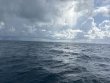 Wednesday June 25th 2025 Tropical Adventure: Nine Channel reef report photo 1