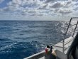 Saturday April 26th 2025 Tropical Destiny: Benwood Wreck reef report photo 1