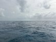 Saturday June 28th 2025 Tropical Destiny: Hard Bottom Cave reef report photo 1