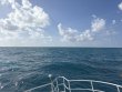Saturday July 19th 2025 Tropical Destiny: Spiegel Grove reef report photo 1