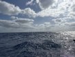 Saturday July 26th 2025 Tropical Destiny: Spiegel Grove reef report photo 1