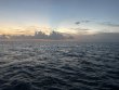 Tuesday August 5th 2025 Tropical Destiny: Benwood Wreck reef report photo 1