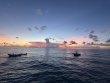 Wednesday August 13th 2025 Tropical Destiny: SPECIAL EVENT reef report photo 1