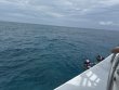 Saturday September 6th 2025 Tropical Destiny: Eagle Ray Alley reef report photo 1