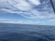 Saturday October 11th 2025 Tropical Destiny: Spiegel Grove reef report photo 1