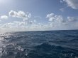 Thursday May 1st 2025 Tropical Legend: North Star reef report photo 1