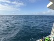 Friday October 17th 2025 Tropical Legend: Spiegel Grove reef report photo 1