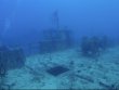 Thursday April 2nd 2026 Tropical Legend: Spiegel Grove reef report photo 1