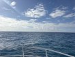 Friday April 17th 2026 Tropical Legend: Benwood Wreck reef report photo 1
