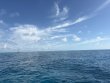 Sunday April 19th 2026 Tropical Legend: JJs Cave reef report photo 1