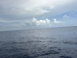 Sunday August 24th 2025 Tropical Odyssey: Spiegel Grove reef report photo 1
