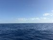 Saturday March 21st 2026 Tropical Odyssey: USCGC Duane reef report photo 1