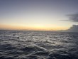 Saturday April 25th 2026 Tropical Odyssey: Benwood Wreck reef report photo 1