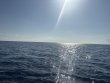 Monday April 27th 2026 Tropical Odyssey: USCGC Duane reef report photo 1