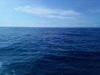 Sunday June 19th 2022 Tropical Serenity: Spanish Anchor reef report photo 1