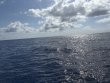 Sunday May 18th 2025 Tropical Serenity: Spiegel Grove reef report photo 1