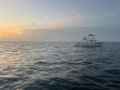 Saturday May 24th 2025 Tropical Serenity: Benwood Wreck reef report photo 1