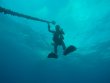 Sunday March 29th 2026 Tropical Serenity: Benwood Wreck reef report photo 1