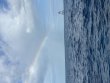 Tuesday April 7th 2026 Tropical Serenity: Eagle Ray Alley reef report photo 1
