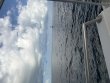 Wednesday April 29th 2026 Tropical Serenity: Molasses Reef reef report photo 1