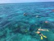 Saturday August 10th 2019 Tropical Voyager: North Star reef report photo 1
